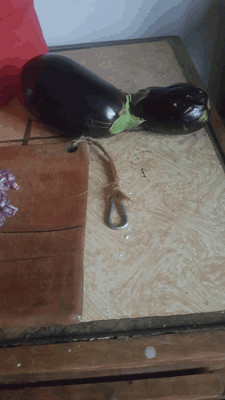 lgumes