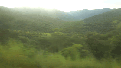 Descente