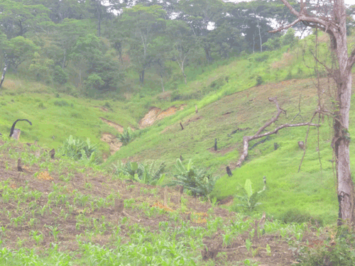 Glissement de terrain