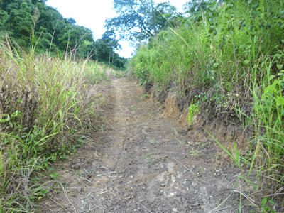 La route  Jumbebibi
