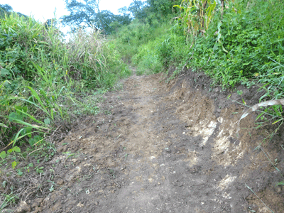 Pont sur la Mlolwa