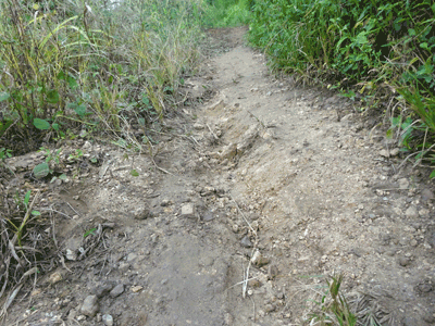 Route  Jumbebibi