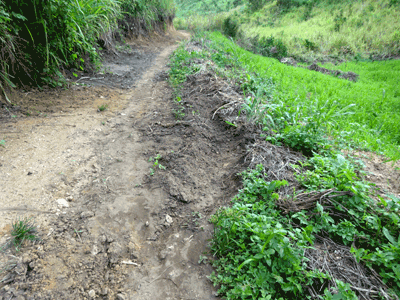 La route  Jumbebibi