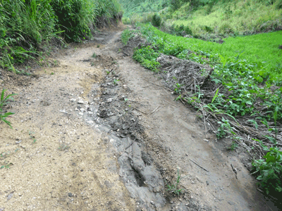 La route  Jumbebibi
