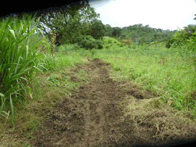 Pont sur la Mlolwa