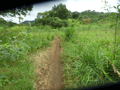 Pont sur la Mlolwa
