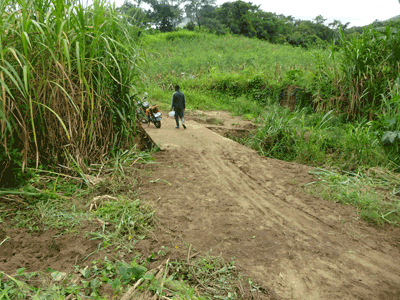 Pont sur la Mlolwa