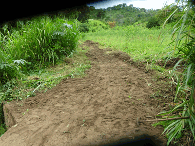 Pont sur la Mlolwa