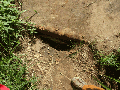 Pont sur la Mlolwa