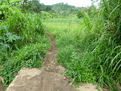 Pont sur la Mlolwa