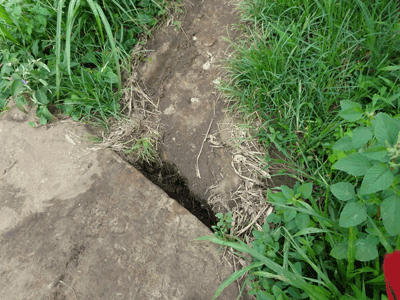 Pont sur la Mlolwa