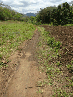 route  mlolwa