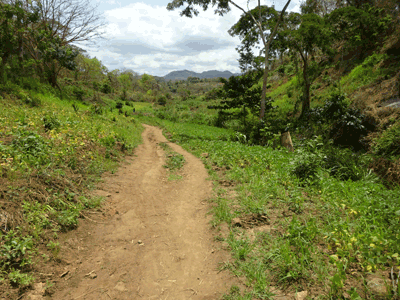 Route  Mlolwa