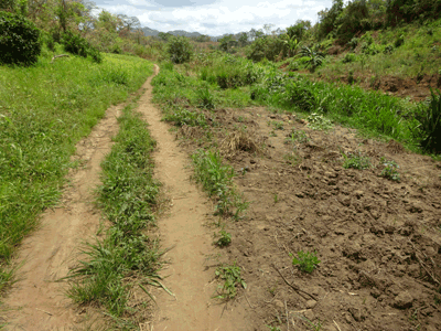 Route  Mlolwa