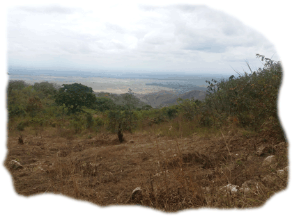 Vue sur la plaine