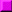 puce violette