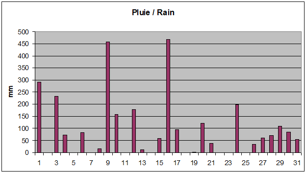 January 2024 Rainfall