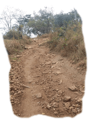 Route