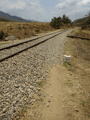 train