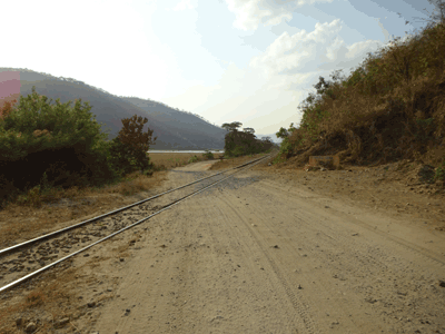 train